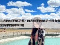 三月的林芝桃花香？四月林芝的桃花并没有像宣传中的那样红艳