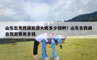 山东出发西藏旅游大概多少钱啊？山东去西藏自驾游费用多钱