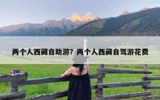 两个人西藏自助游？两个人西藏自驾游花费