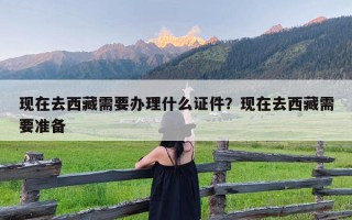 现在去西藏需要办理什么证件？现在去西藏需要准备