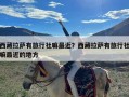 西藏拉萨有旅行社嘛最近？西藏拉萨有旅行社嘛最近的地方