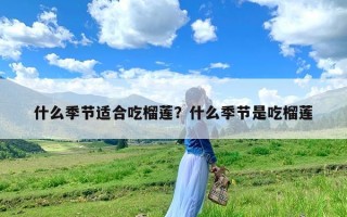 什么季节适合吃榴莲？什么季节是吃榴莲