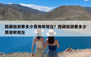 西藏旅游要多少费用呢现在？西藏旅游要多少费用呢现在