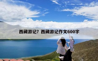 西藏游记？西藏游记作文600字