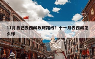 11月自己去西藏攻略路线？十一月去西藏怎么样