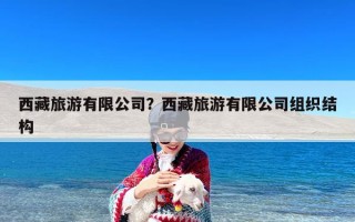 西藏旅游有限公司？西藏旅游有限公司组织结构