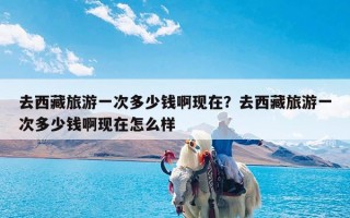 去西藏旅游一次多少钱啊现在？去西藏旅游一次多少钱啊现在怎么样