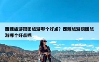 西藏旅游跟团旅游哪个好点？西藏旅游跟团旅游哪个好点呢