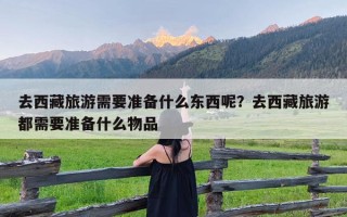 去西藏旅游需要准备什么东西呢？去西藏旅游都需要准备什么物品