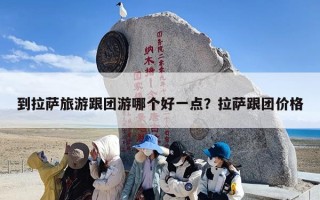 到拉萨旅游跟团游哪个好一点？拉萨跟团价格