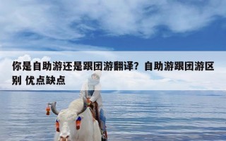 你是自助游还是跟团游翻译？自助游跟团游区别 优点缺点