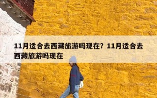 11月适合去西藏旅游吗现在？11月适合去西藏旅游吗现在