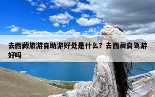 去西藏旅游自助游好处是什么？去西藏自驾游好吗