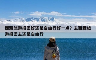 西藏旅游报团好还是自由行好一点？去西藏旅游报团去还是自由行