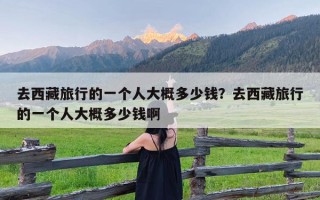 去西藏旅行的一个人大概多少钱？去西藏旅行的一个人大概多少钱啊