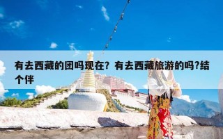 有去西藏的团吗现在？有去西藏旅游的吗?结个伴