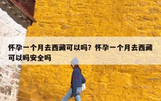 怀孕一个月去西藏可以吗？怀孕一个月去西藏可以吗安全吗