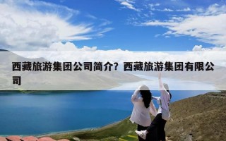 西藏旅游集团公司简介？西藏旅游集团有限公司