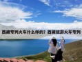 西藏专列火车什么样的？西藏旅游火车专列