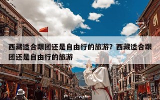 西藏适合跟团还是自由行的旅游？西藏适合跟团还是自由行的旅游