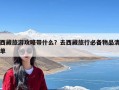 西藏旅游攻略带什么？去西藏旅行必备物品清单