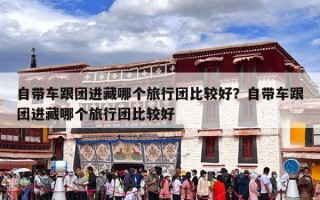 自带车跟团进藏哪个旅行团比较好？自带车跟团进藏哪个旅行团比较好