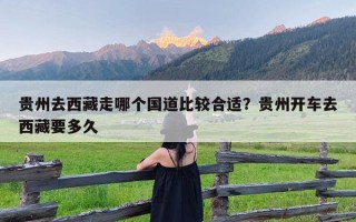 贵州去西藏走哪个国道比较合适？贵州开车去西藏要多久