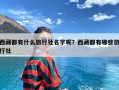 西藏都有什么旅行社名字呢？西藏都有哪些旅行社