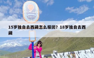 15岁独自去西藏怎么报团？18岁独自去西藏