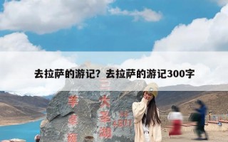 去拉萨的游记？去拉萨的游记300字