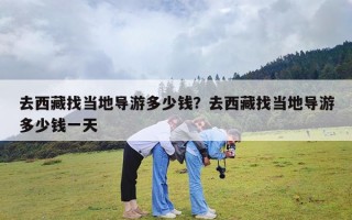 去西藏找当地导游多少钱？去西藏找当地导游多少钱一天