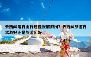 去西藏是自由行还是报旅游团？去西藏旅游自驾游好还是旅游团好