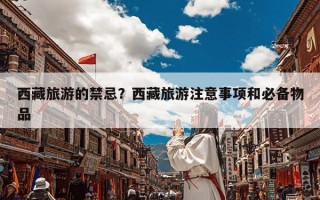 西藏旅游的禁忌？西藏旅游注意事项和必备物品