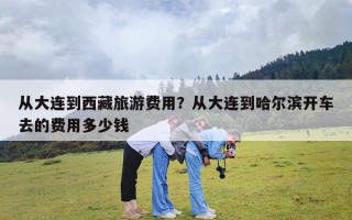 从大连到西藏旅游费用？从大连到哈尔滨开车去的费用多少钱