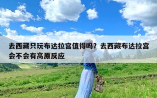 去西藏只玩布达拉宫值得吗？去西藏布达拉宫会不会有高原反应