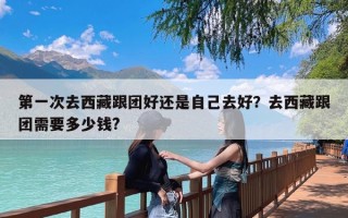 第一次去西藏跟团好还是自己去好？去西藏跟团需要多少钱?