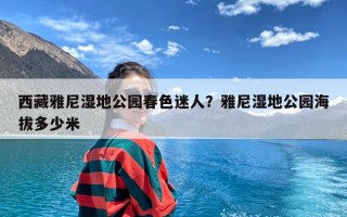 西藏雅尼湿地公园春色迷人？雅尼湿地公园海拔多少米