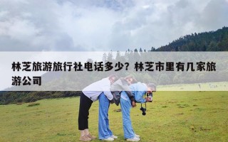 林芝旅游旅行社电话多少？林芝市里有几家旅游公司