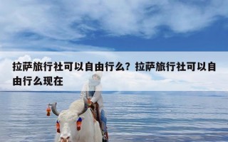 拉萨旅行社可以自由行么？拉萨旅行社可以自由行么现在