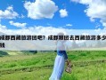 成都西藏旅游团吧？成都跟团去西藏旅游多少钱