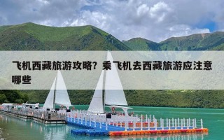 飞机西藏旅游攻略？乘飞机去西藏旅游应注意哪些