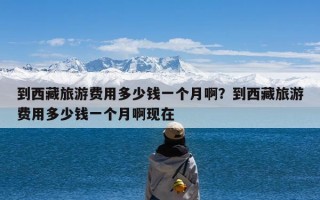 到西藏旅游费用多少钱一个月啊？到西藏旅游费用多少钱一个月啊现在