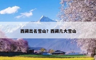 西藏出名雪山？西藏几大雪山