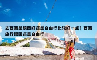 去西藏是跟团好还是自由行比较好一点？西藏旅行跟团还是自由行