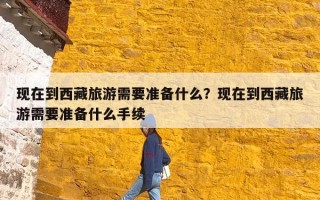 现在到西藏旅游需要准备什么？现在到西藏旅游需要准备什么手续