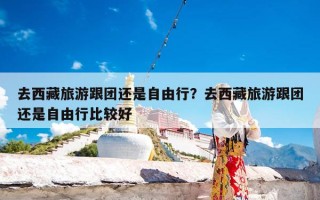 去西藏旅游跟团还是自由行？去西藏旅游跟团还是自由行比较好