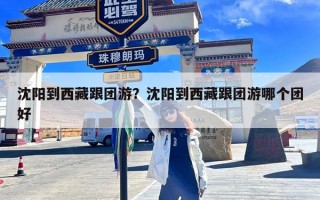 沈阳到西藏跟团游？沈阳到西藏跟团游哪个团好