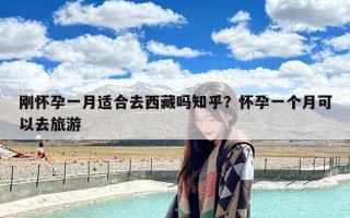 刚怀孕一月适合去西藏吗知乎？怀孕一个月可以去旅游