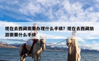 现在去西藏需要办理什么手续？现在去西藏旅游需要什么手续