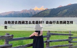 自助游去西藏怎么走最好？自由行去西藏怎样走